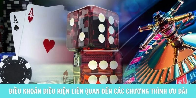 Điều khoản điều kiện liên quan đến các chương trình ưu đãi